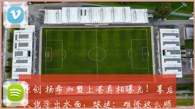 原创 杨希加盟上港真相曝光！幕后大佬浮出水面，球迷：难怪这么顺利