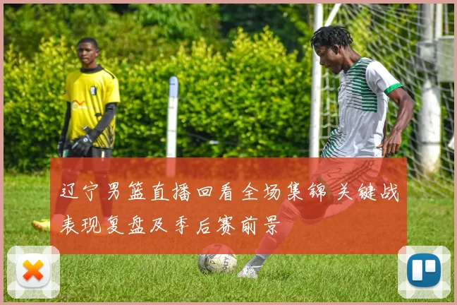 辽宁男篮直播回看全场集锦 关键战表现复盘及季后赛前景