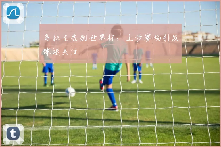乌拉圭告别世界杯，止步赛场引发球迷关注